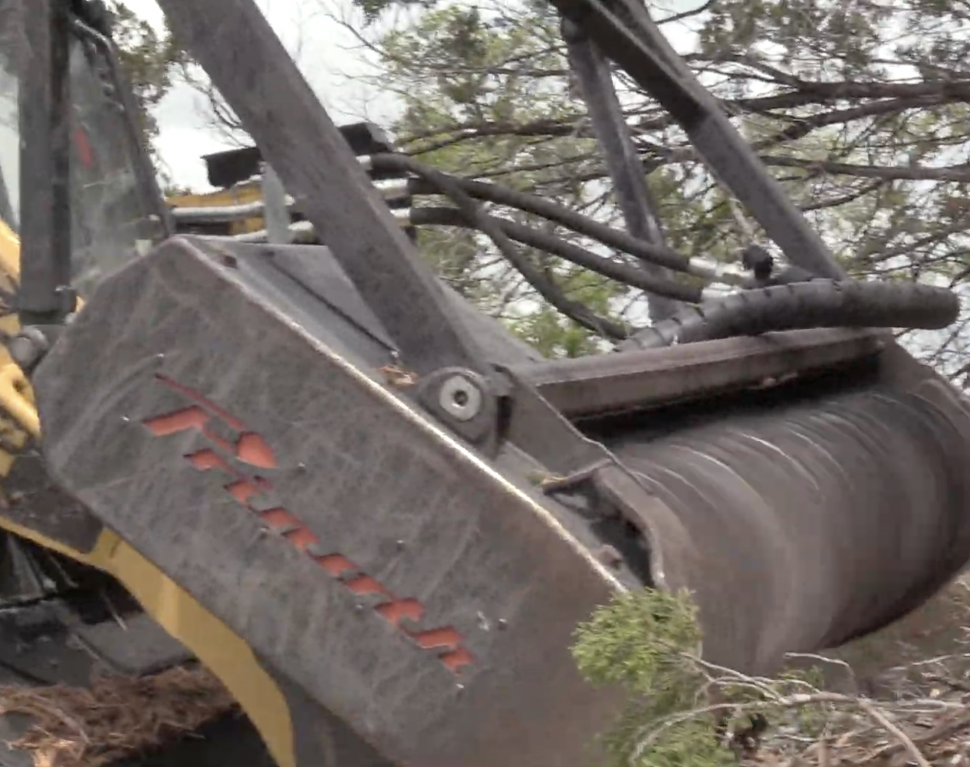Tree and brush removal land clearing in Hays, TX